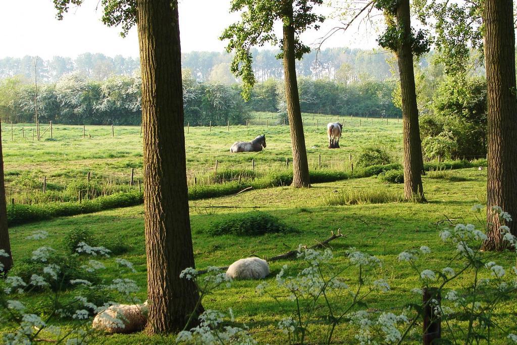 Do'S Chalets Baarland Экстерьер фото